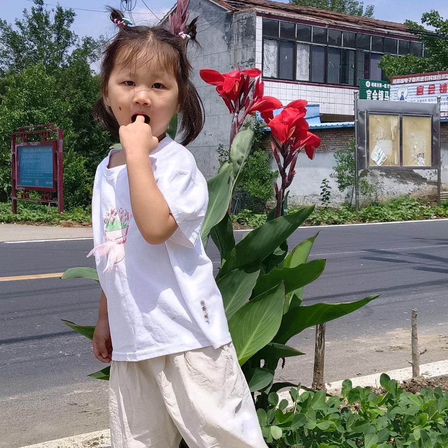 从头开始👩