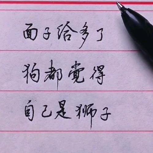 ﹌一叶扁舟﹌