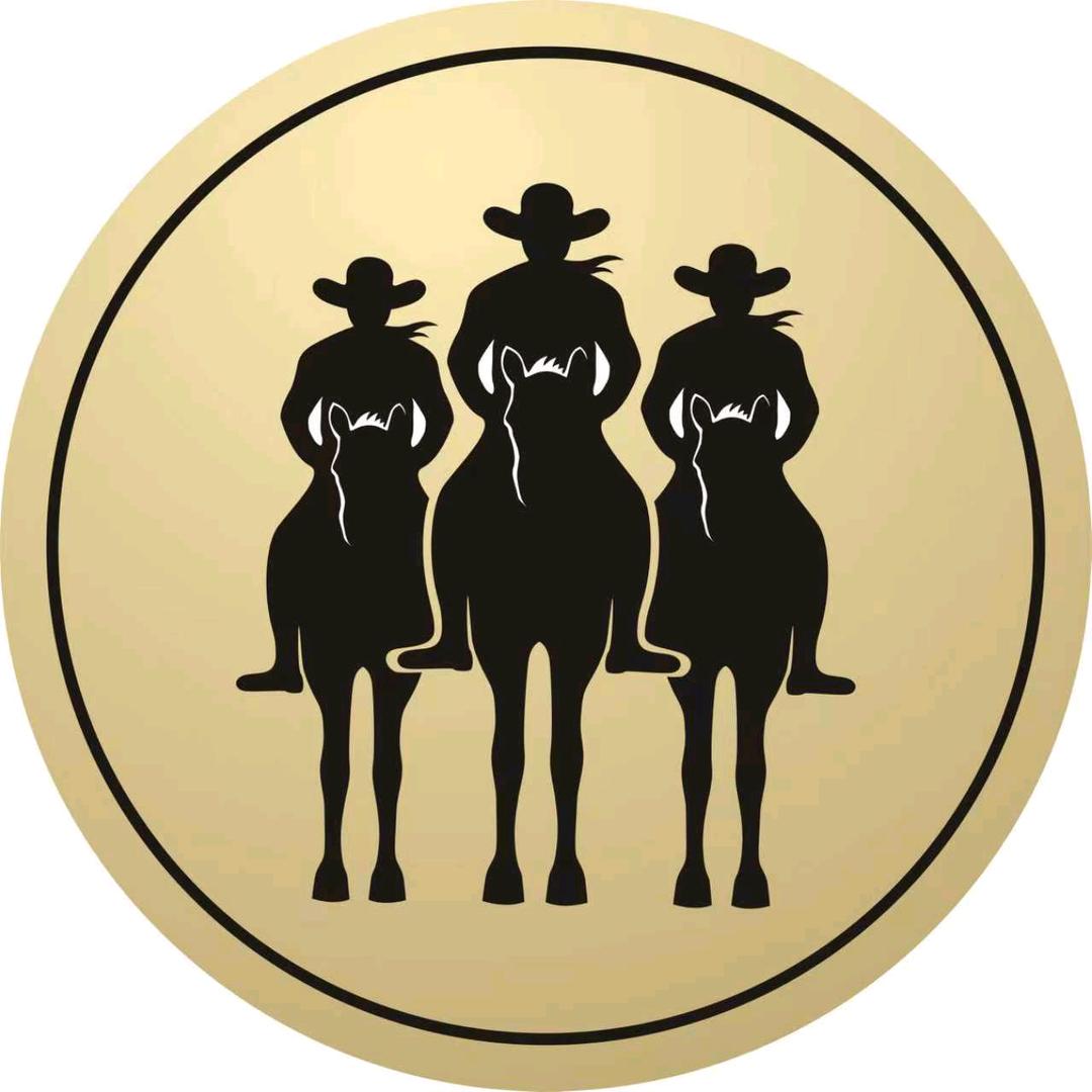 骁骑（精锐骑兵）