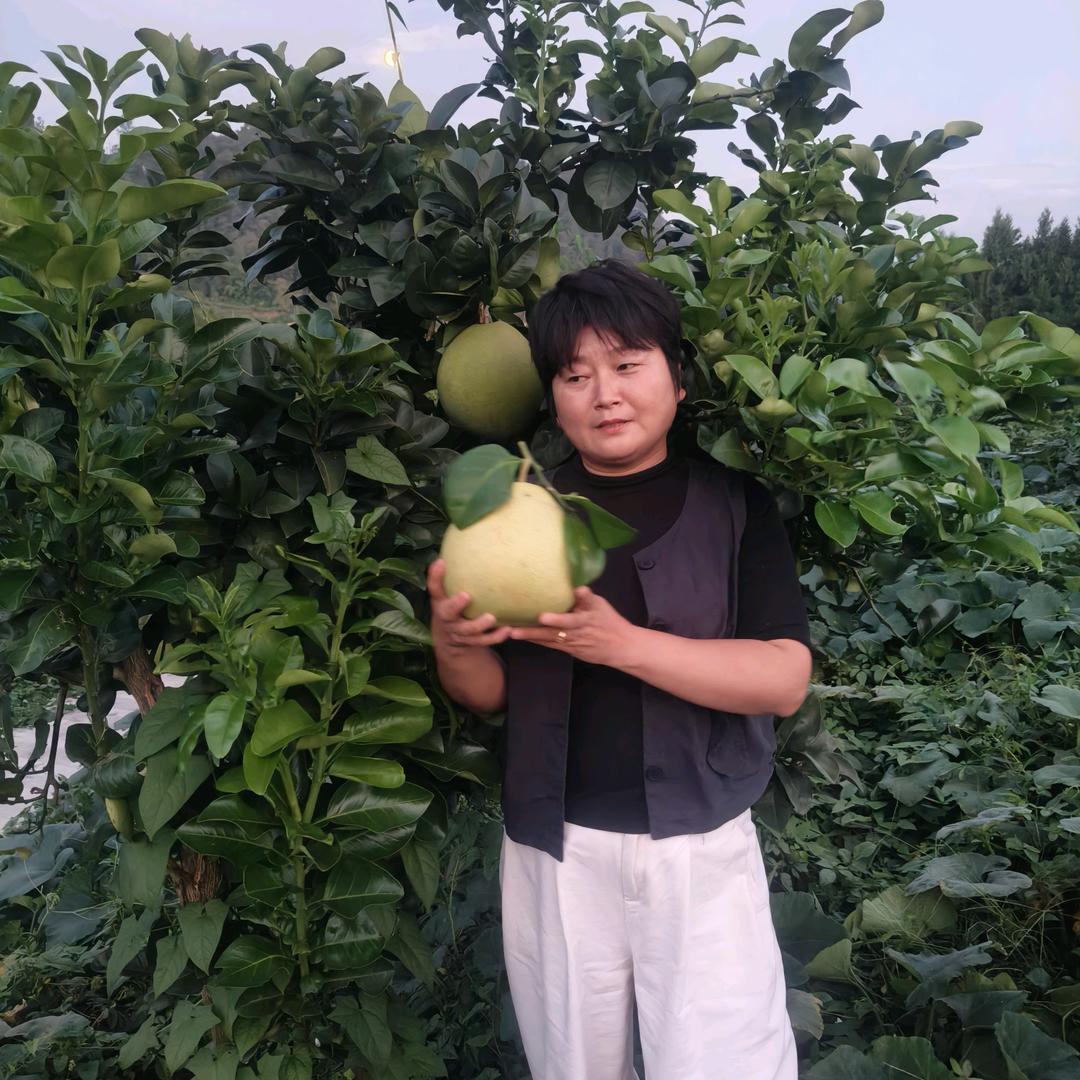 村干部—安徽妹在重庆
