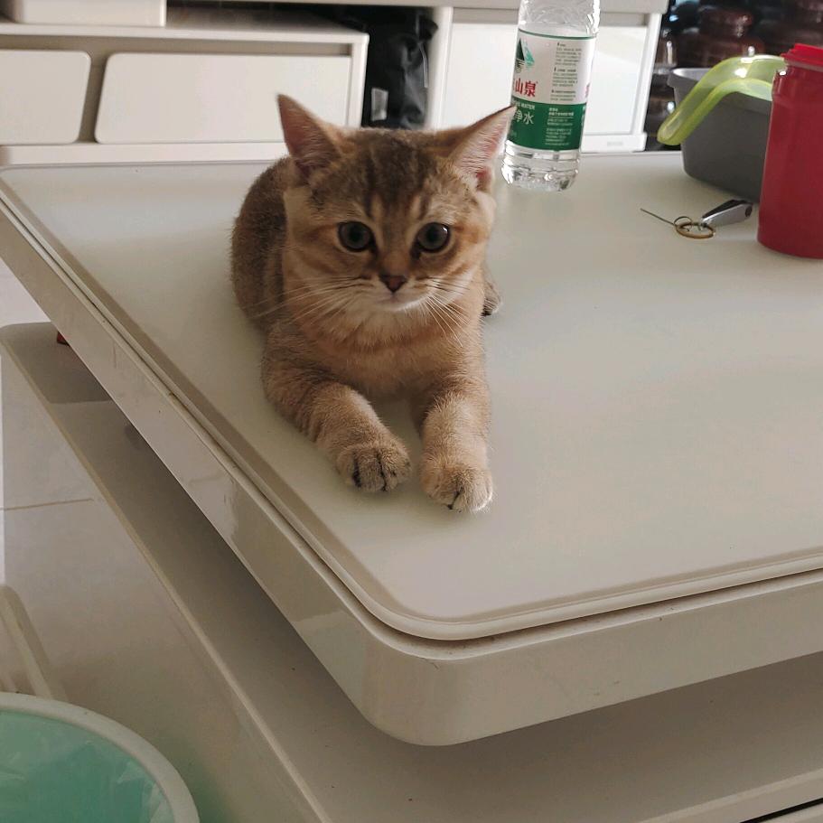 忘了过去，重头再来