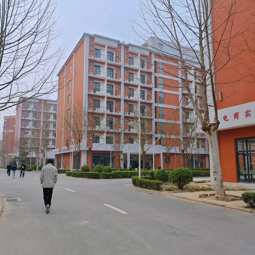 公办学校