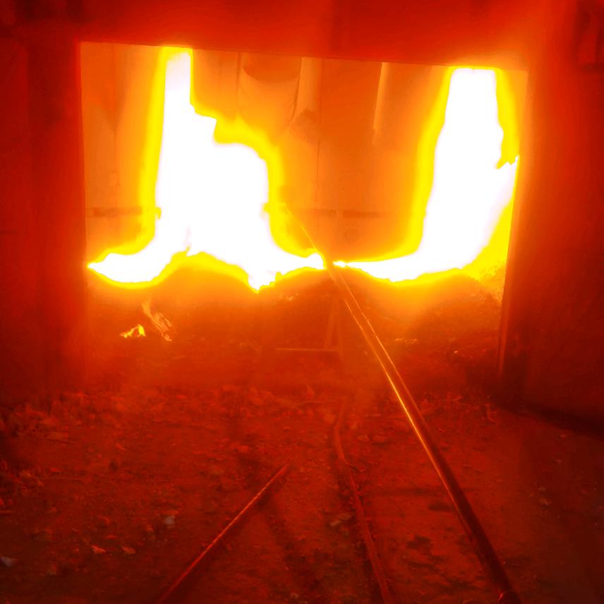 戴建中，非洲津巴布韦