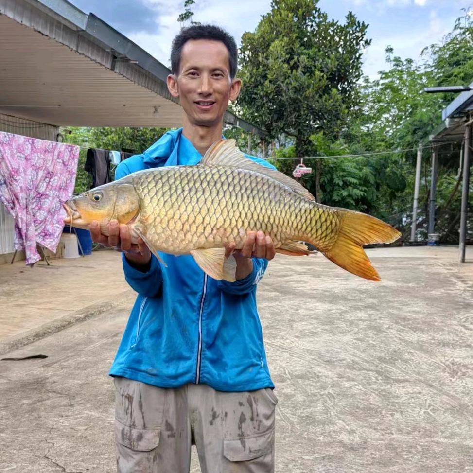 客友钓具优品店