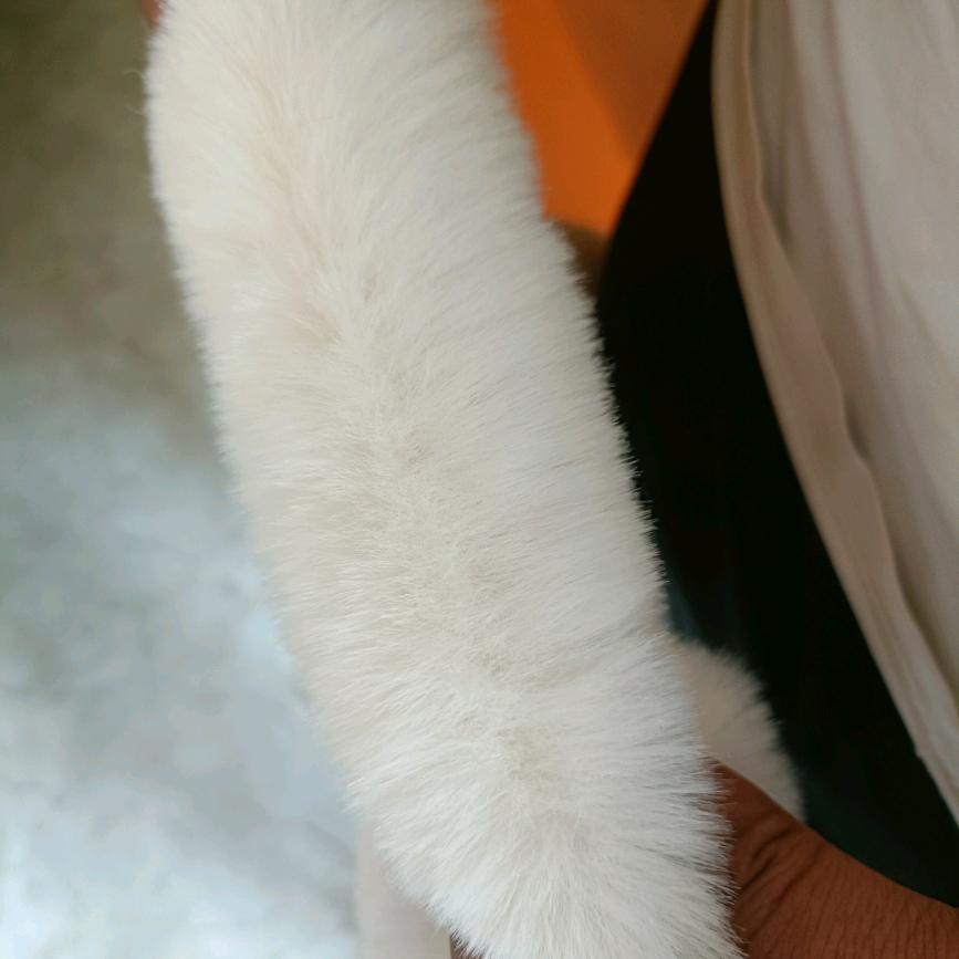 水貂毛条