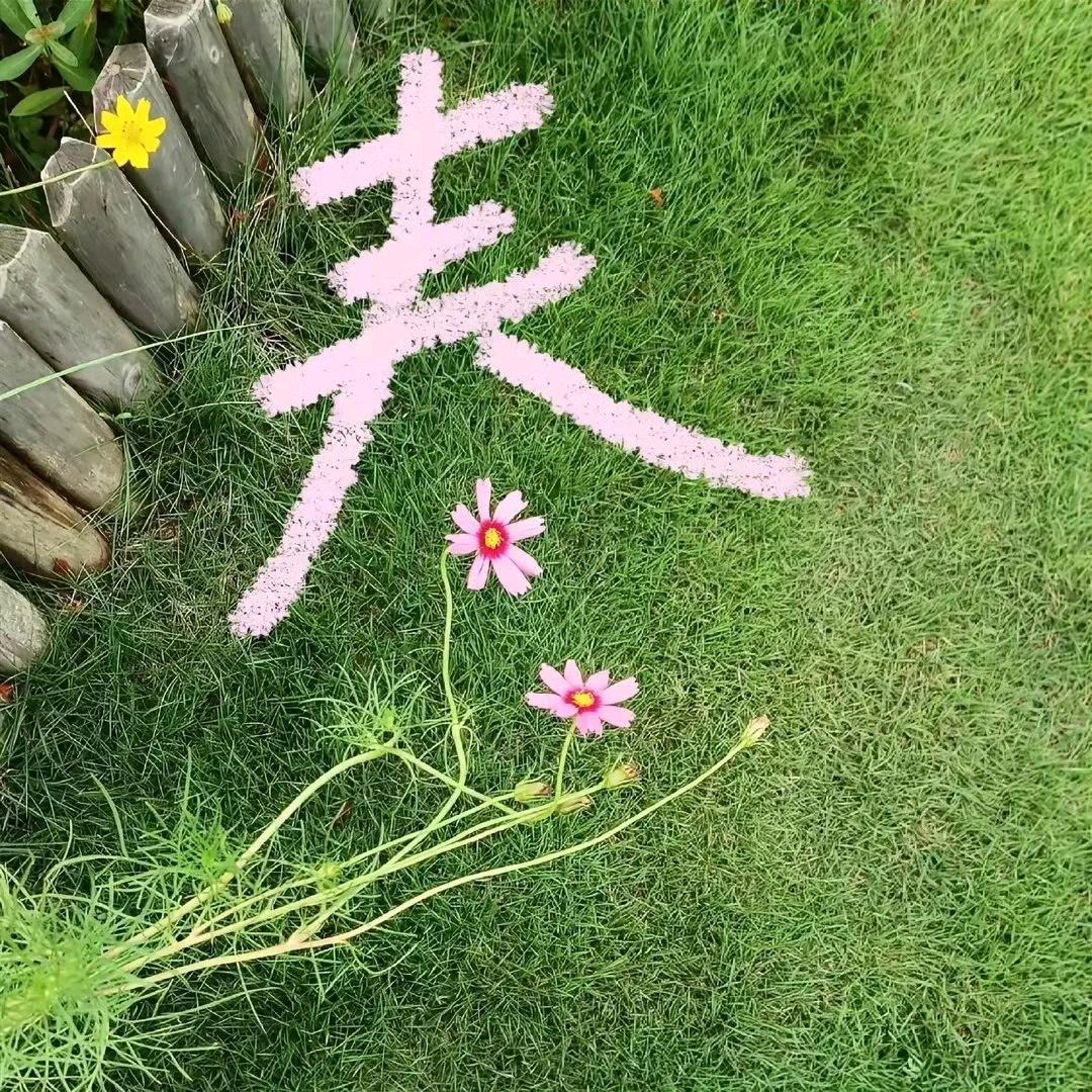 顺心