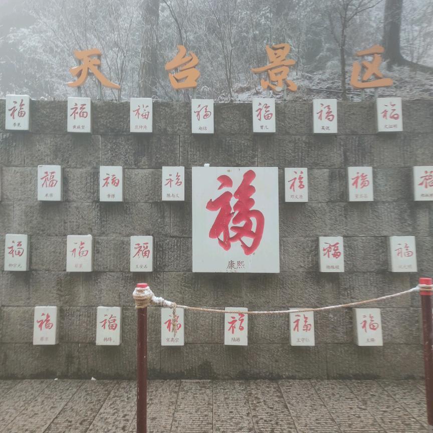 张三姐