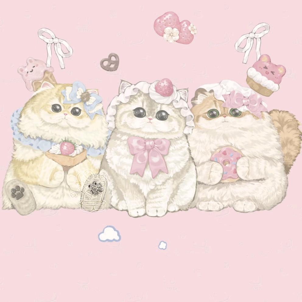 糯叽小猫