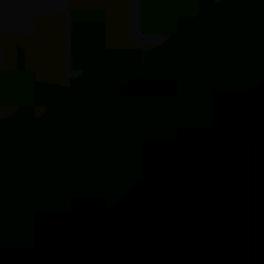 xyx