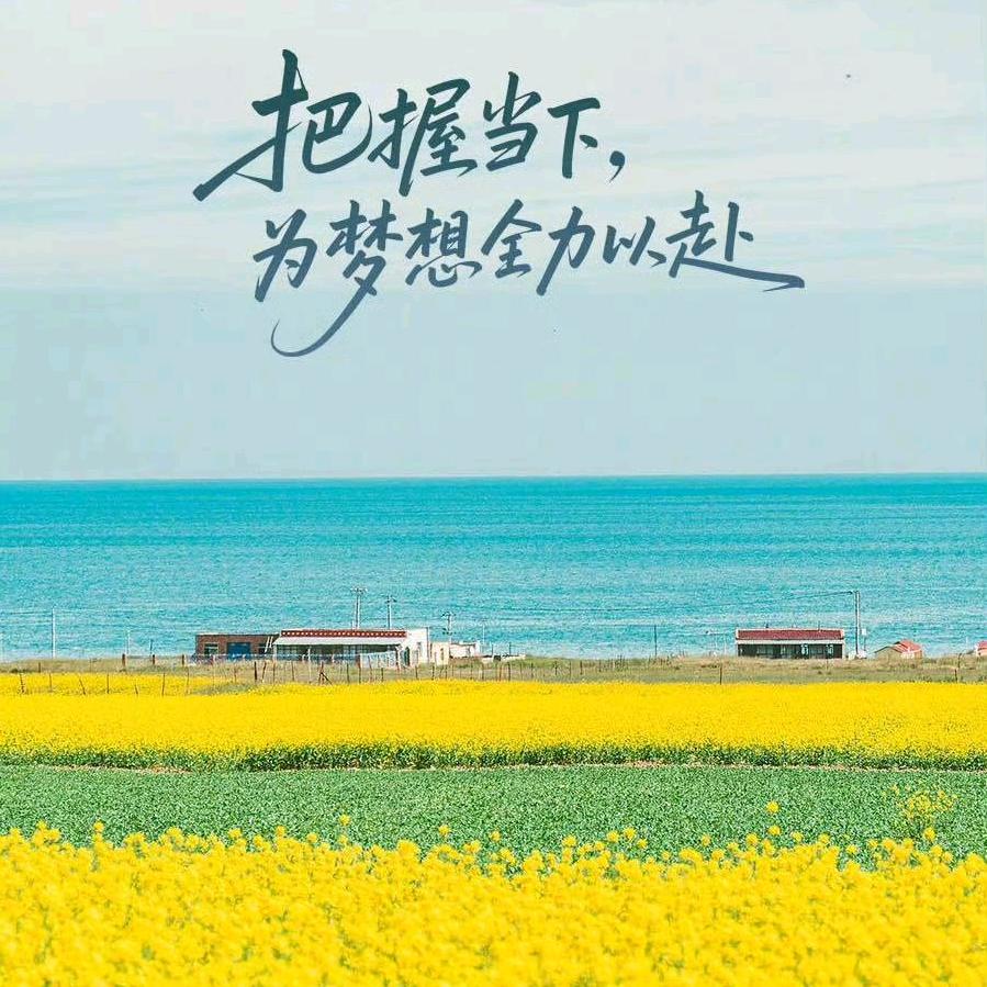 张张（摆摊版）