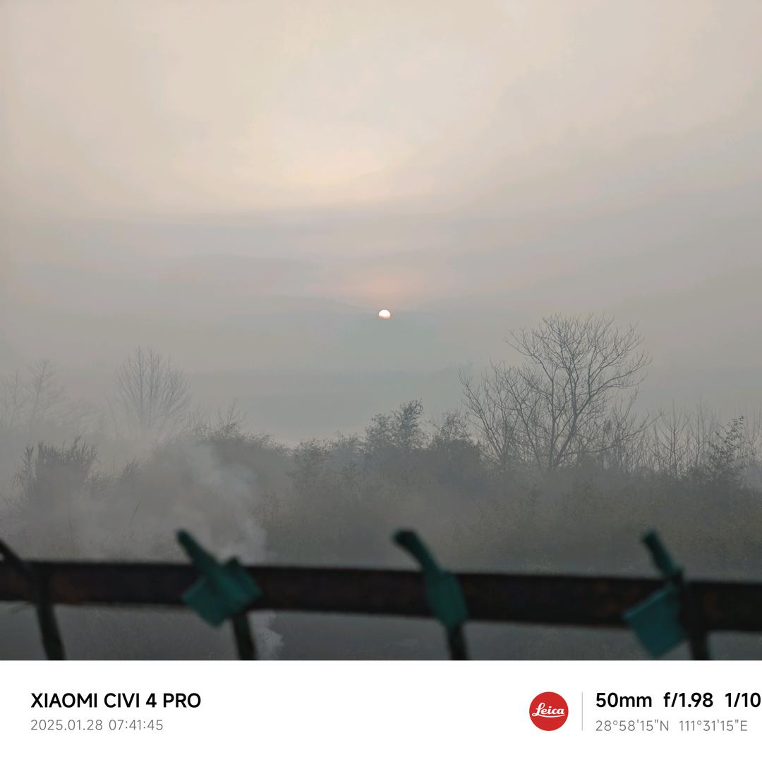 彼岸霓虹彼岸歌。