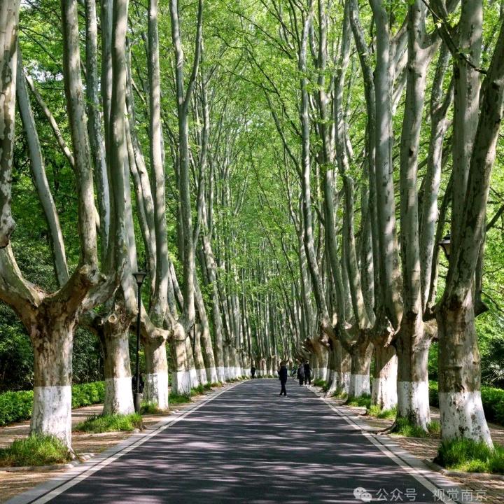 拍风景