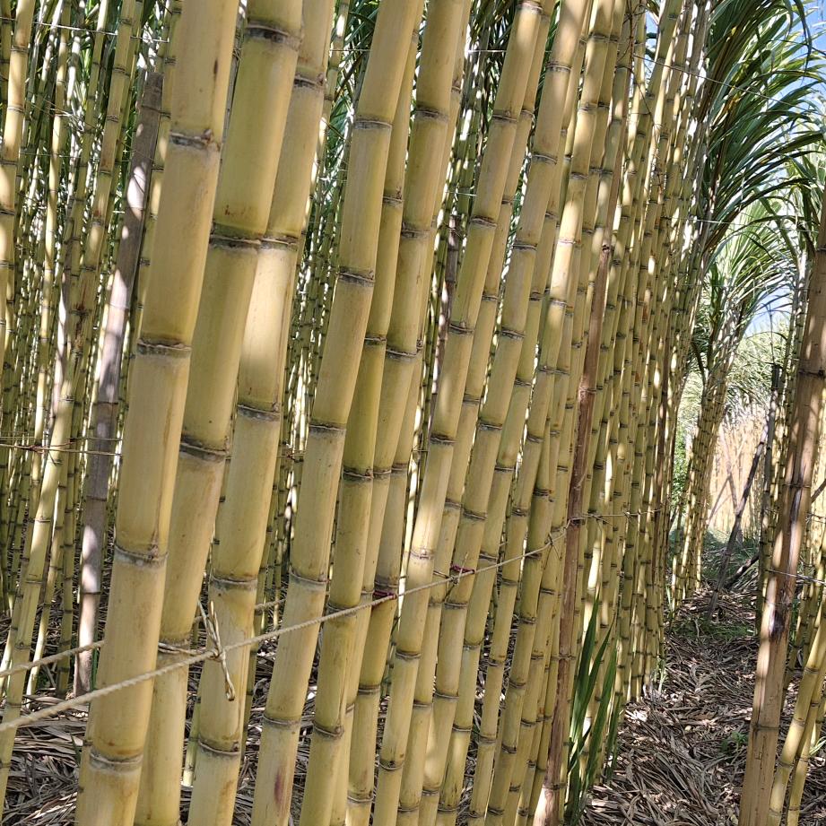 富源胜境进哥果蔬优品店