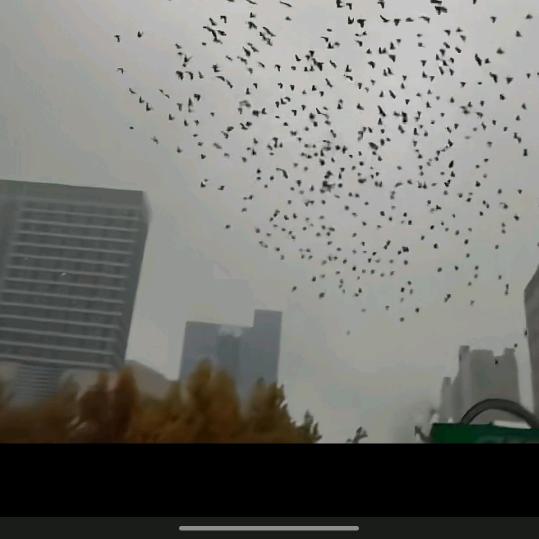 我只负责解决你的问题