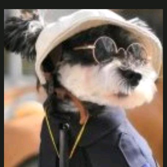 她的名字是爱情！