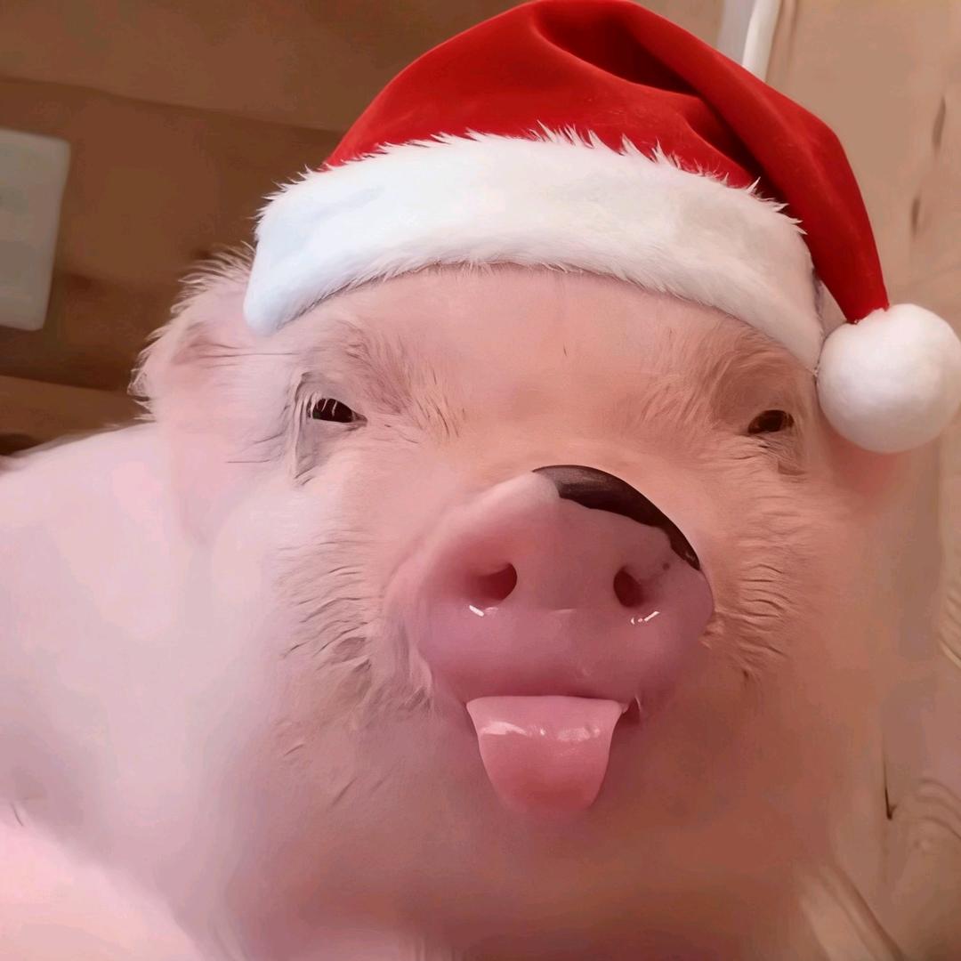 秦泽（世一六尾）