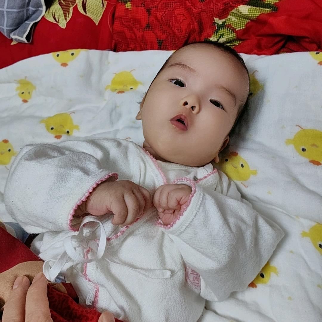 眉眼弯弯小鱼儿