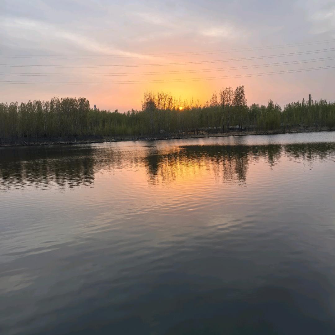 临沂欧唯视徐老师