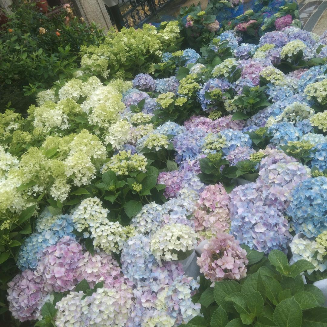 活出自已的风范