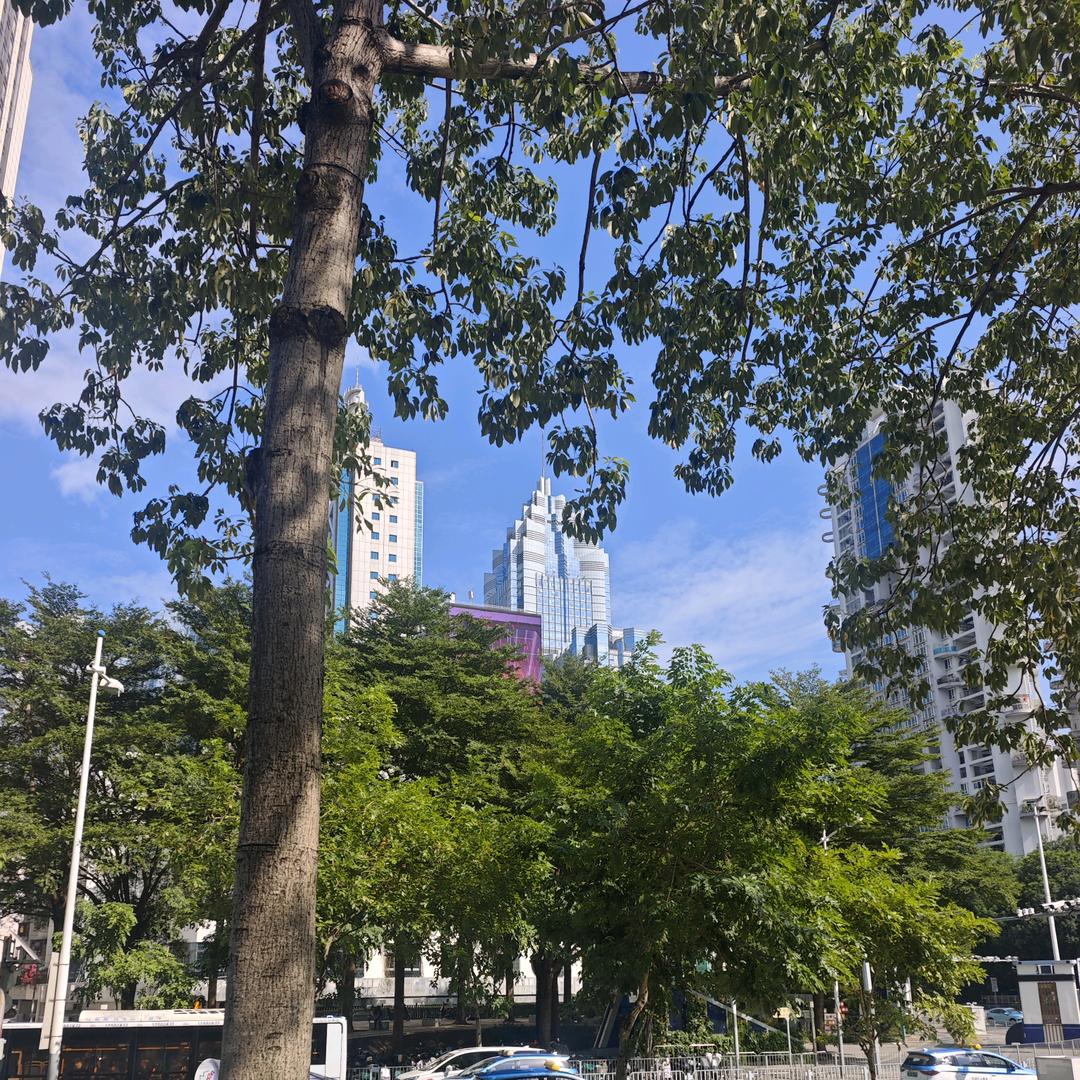 🛫天💎际♥️