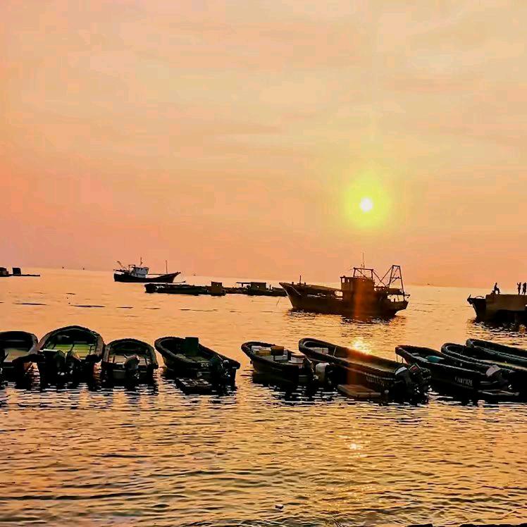 单身红绿灯《洋洋》