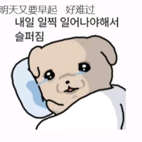 农村土鸡蛋