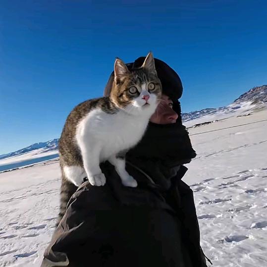 西行漫记
