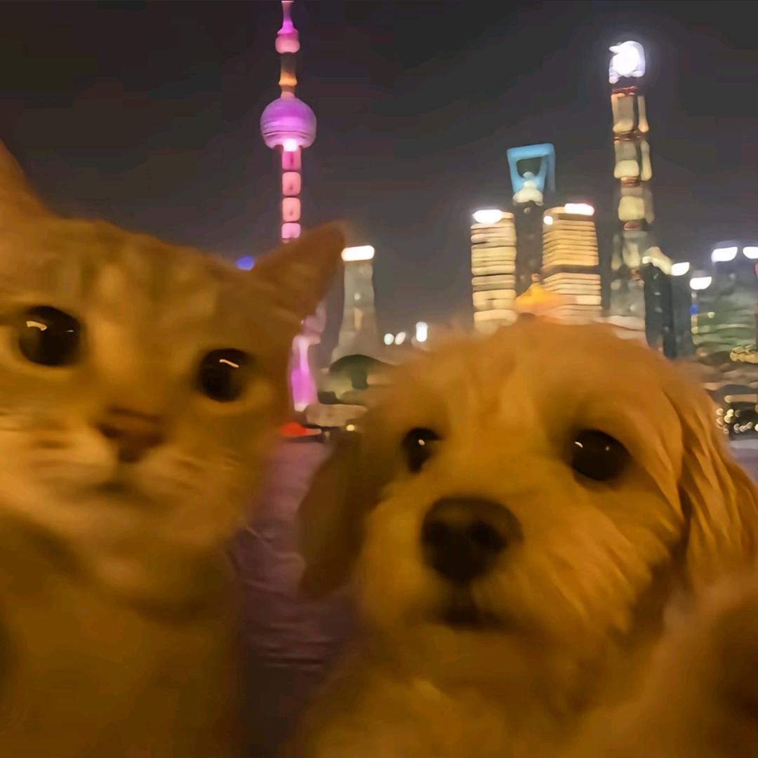 热心网友周先生