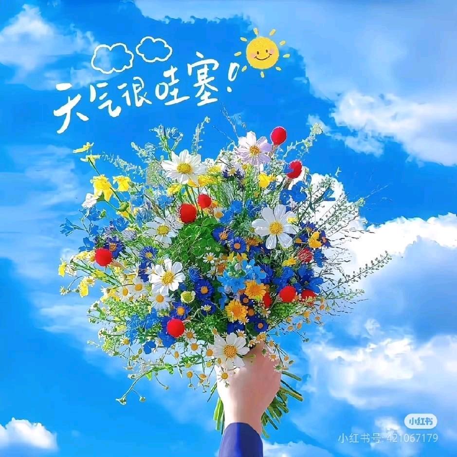 小韩00