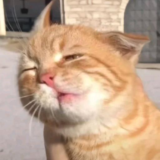 sunnnnn