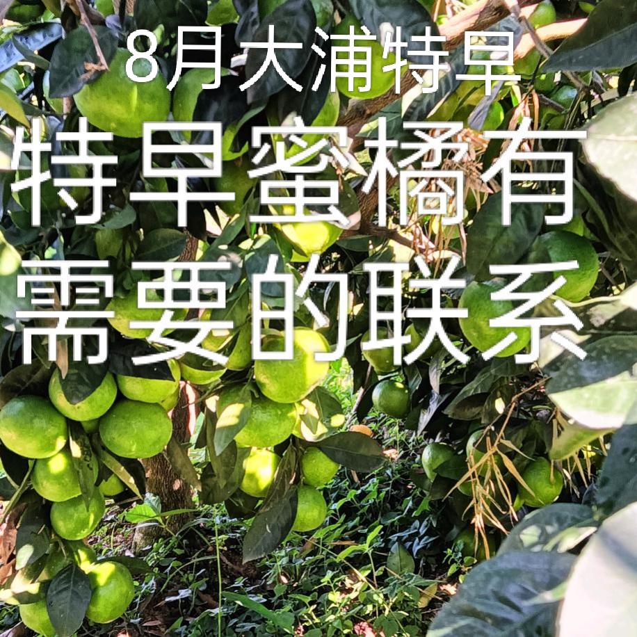 熊大熊二至秦