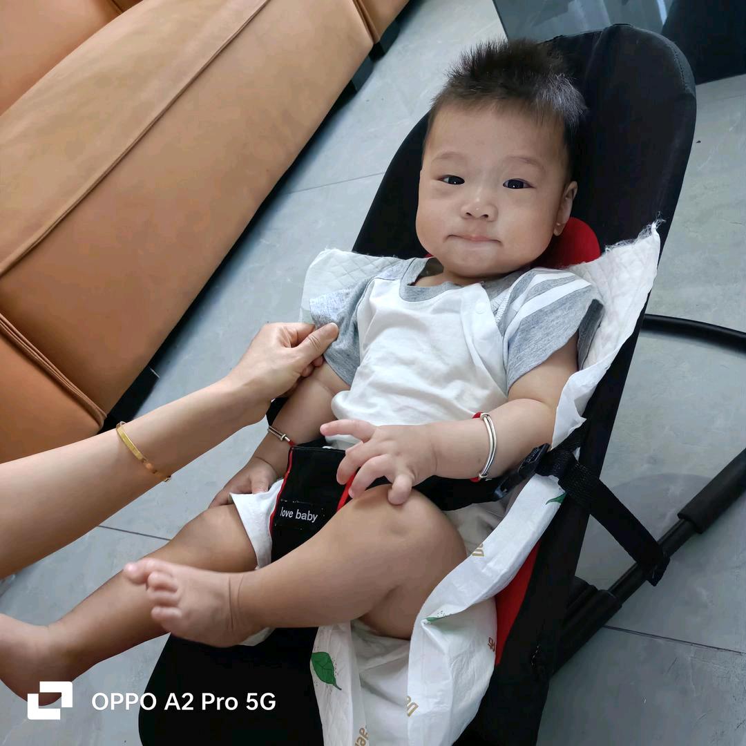 杨梅