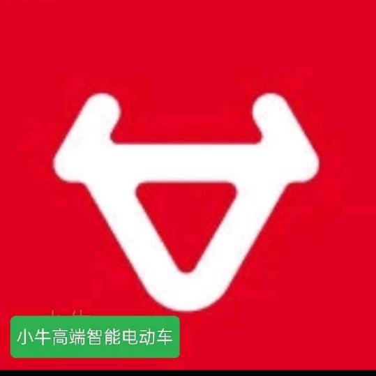 小牛电动(宁津正阳路店)
