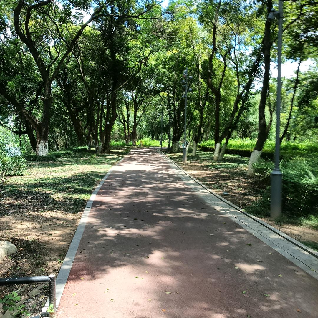 健康快乐每一天