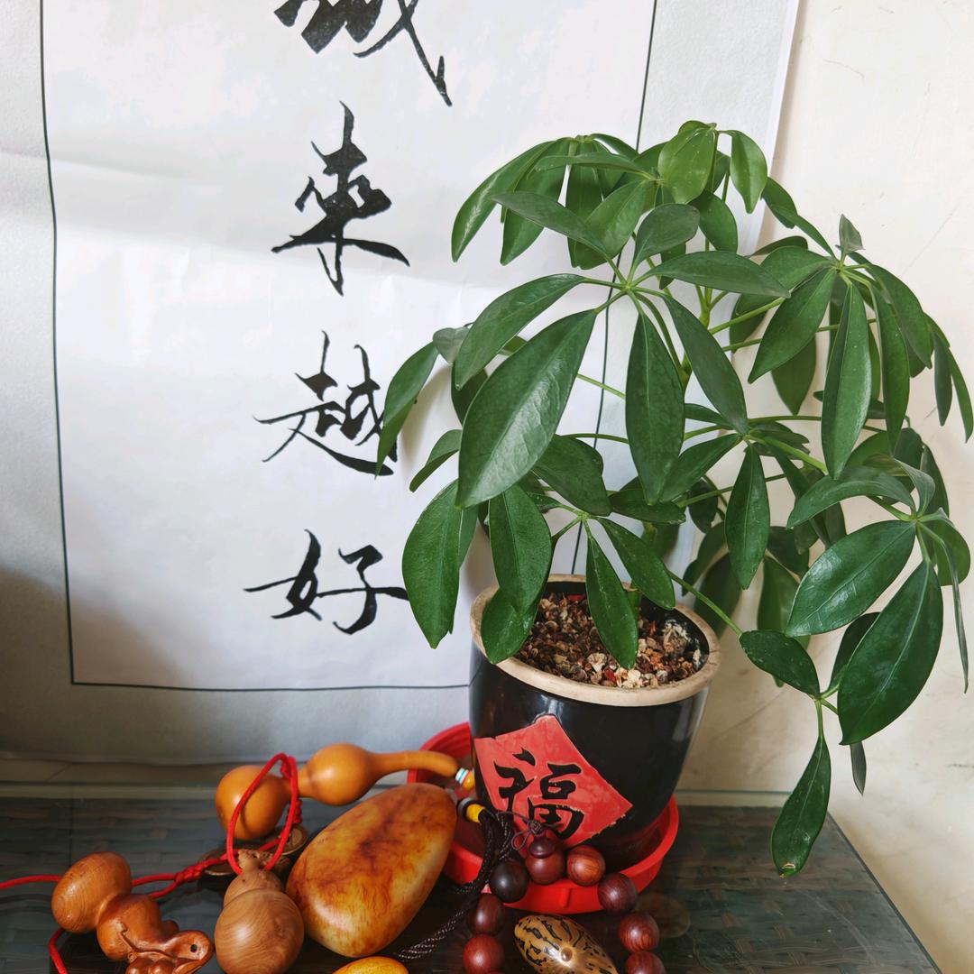 阿荣