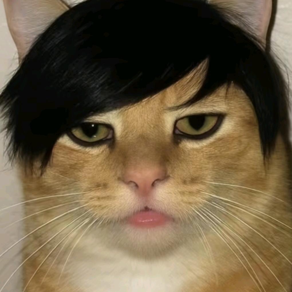 ㅤㅤㅤㅤㅤ比巴卜ㅤ🐾