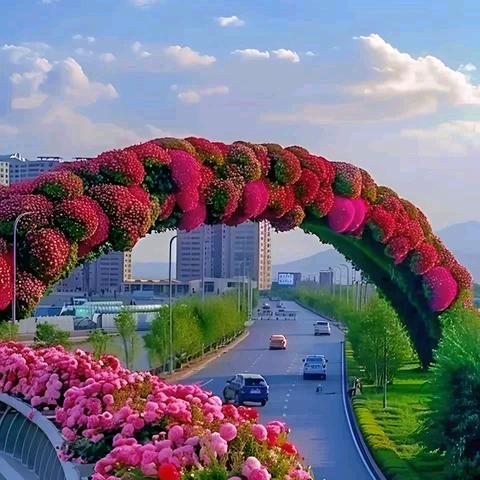 云安，双合元界生活，