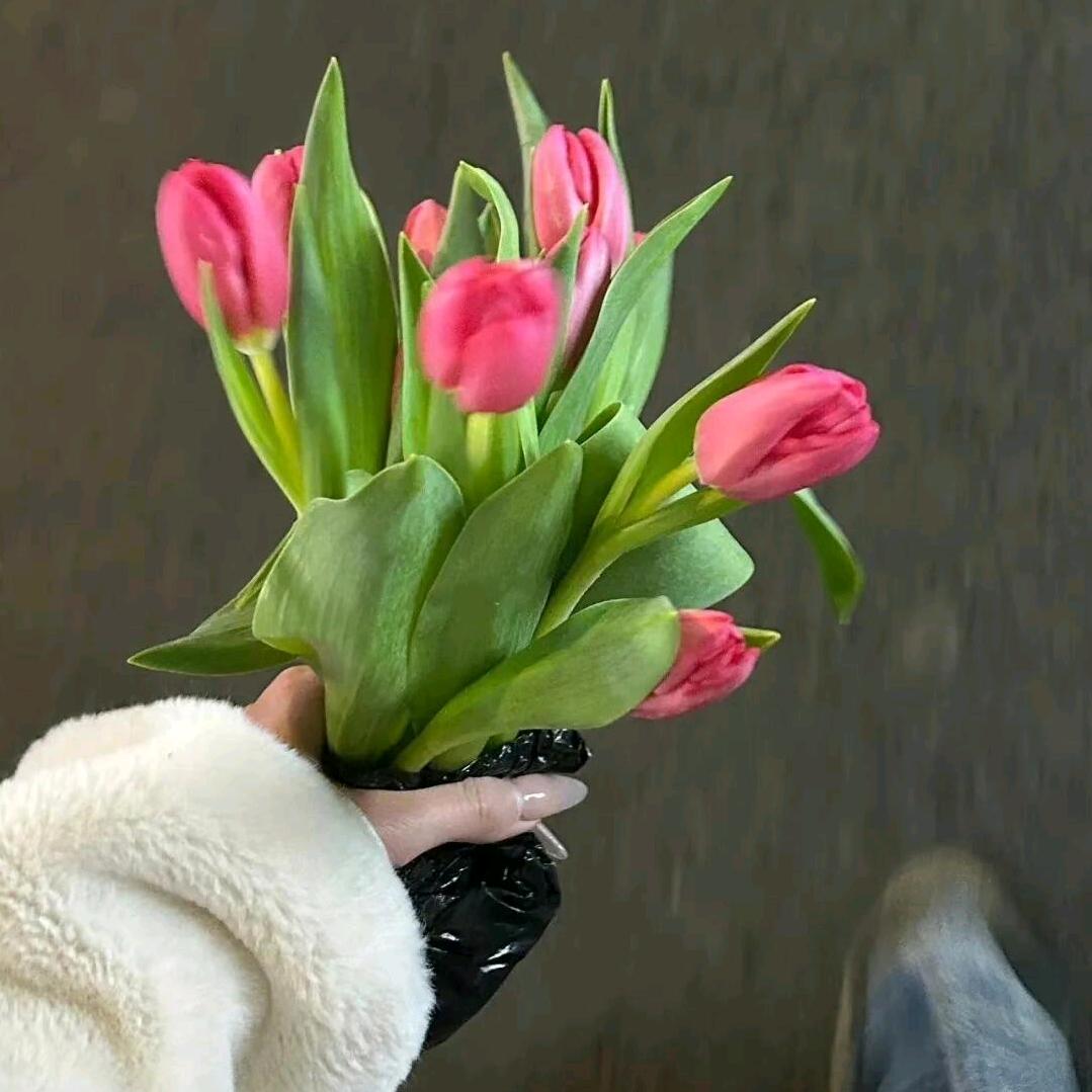 （瓶子发主页了，第一个视频就是）系月