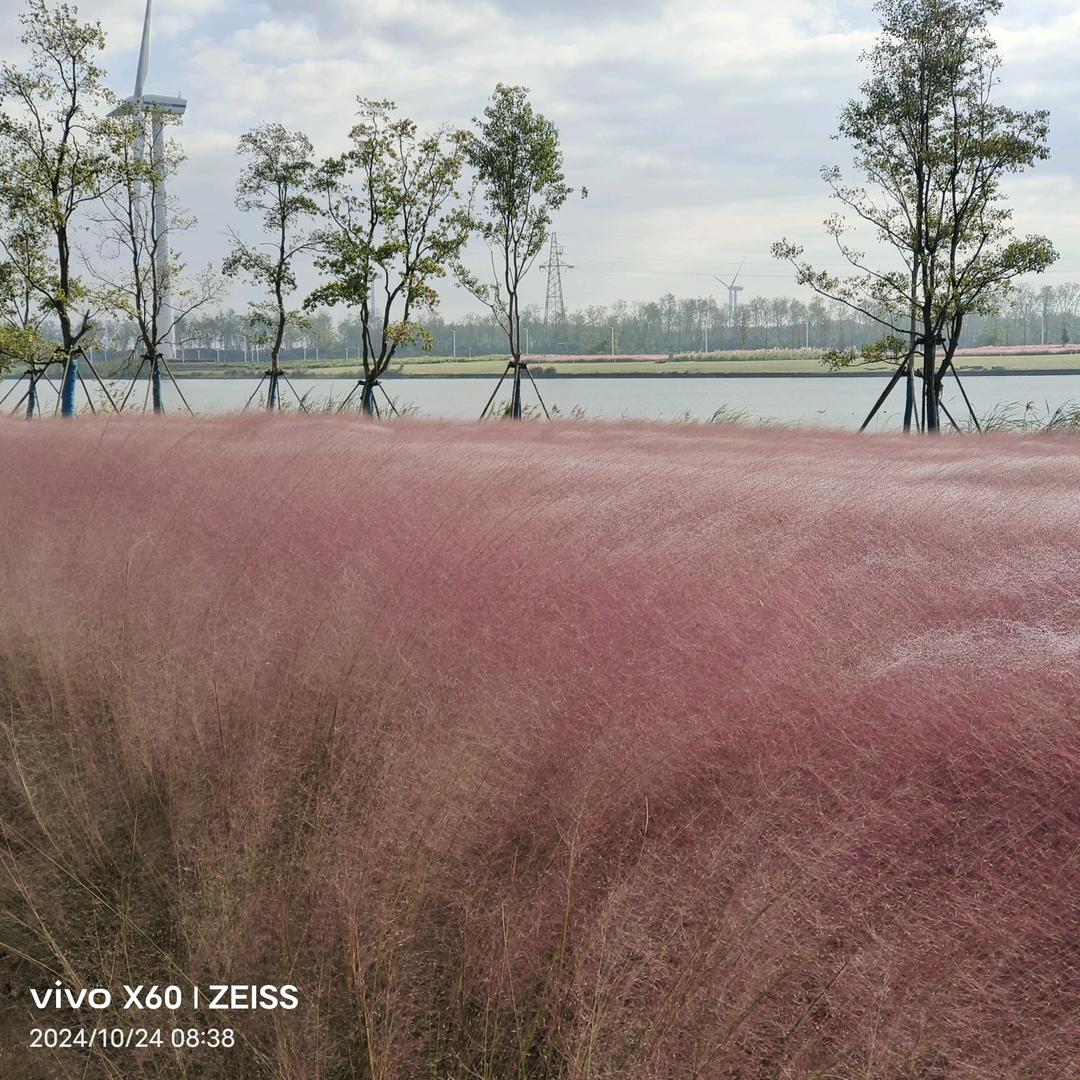 开心过好每一天