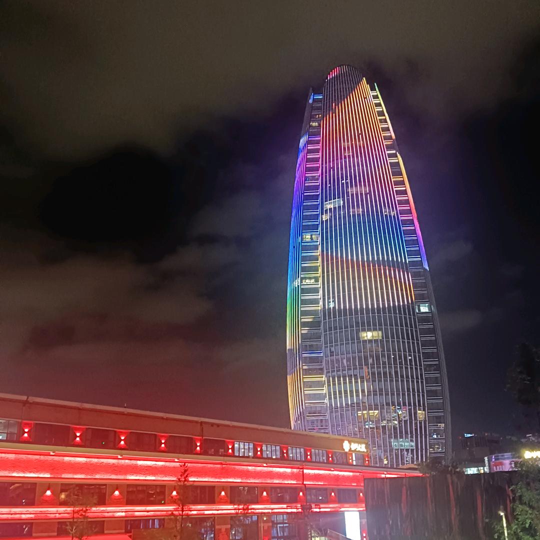 紫贝壳