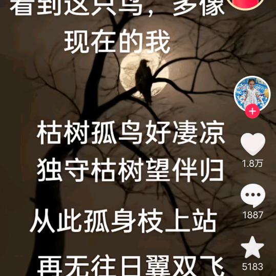 初心不变，未来可期