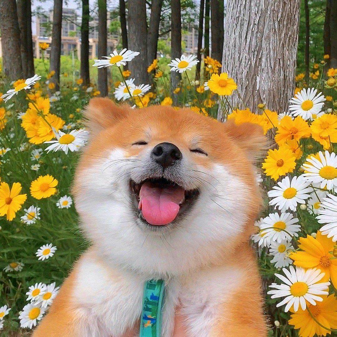 蒋道理🎋