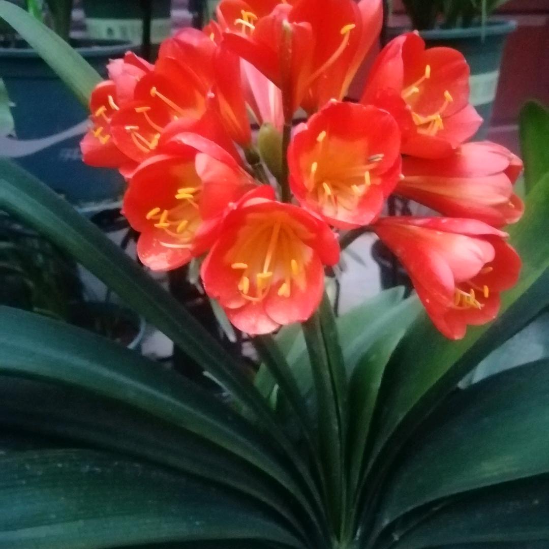 心♥泽 宝贝