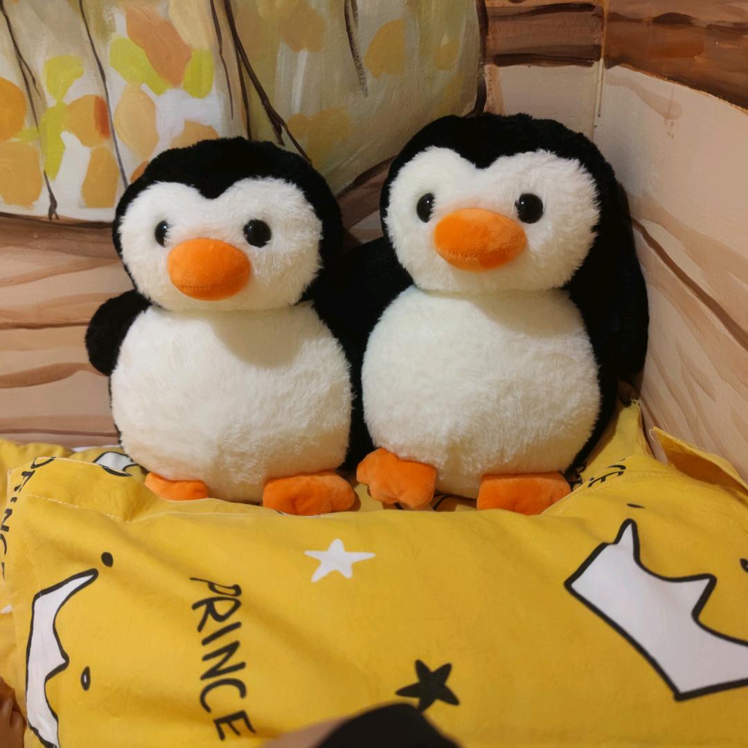 丹丹和婆婆（记录日常生活）