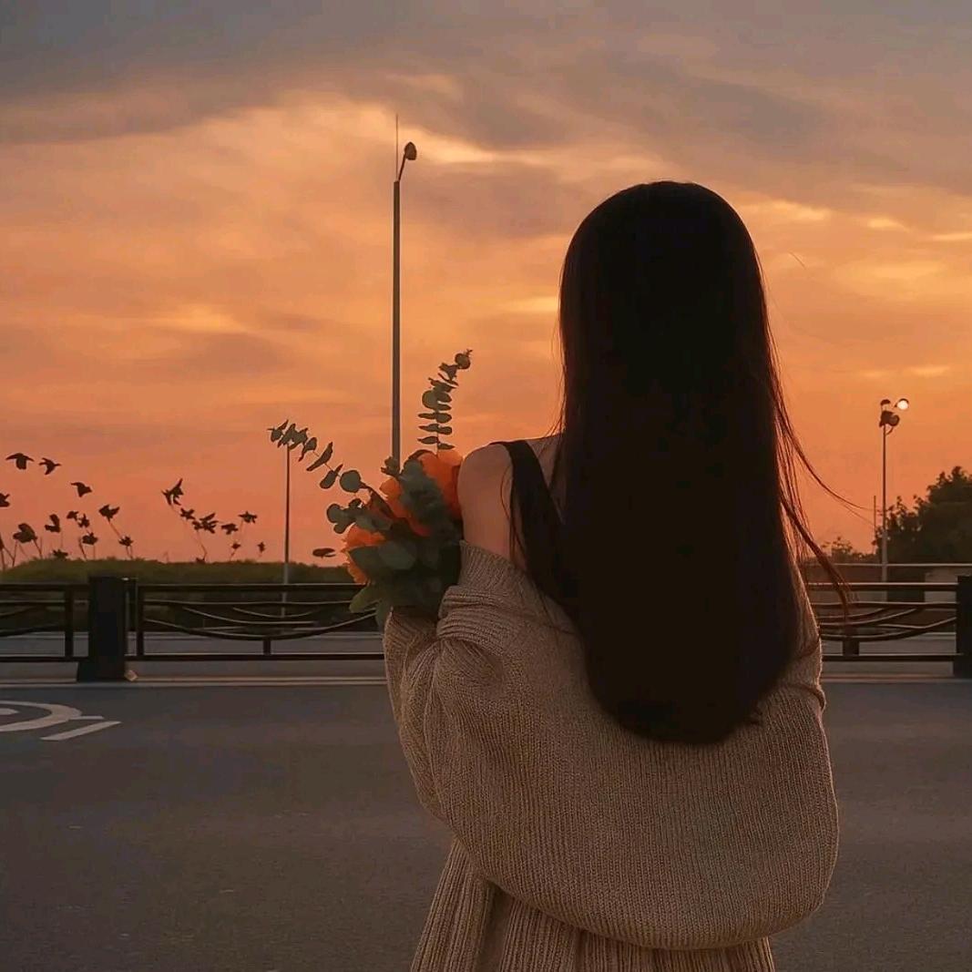 海棠🌸