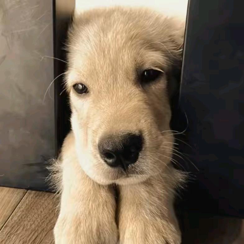 🧸.