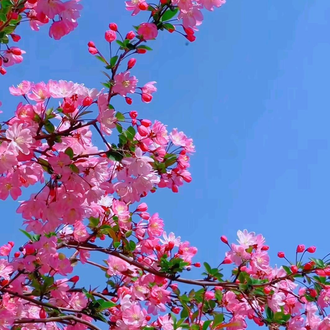 万佛湖畔