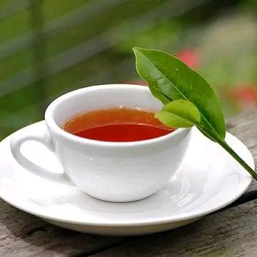 茶之韵茶府