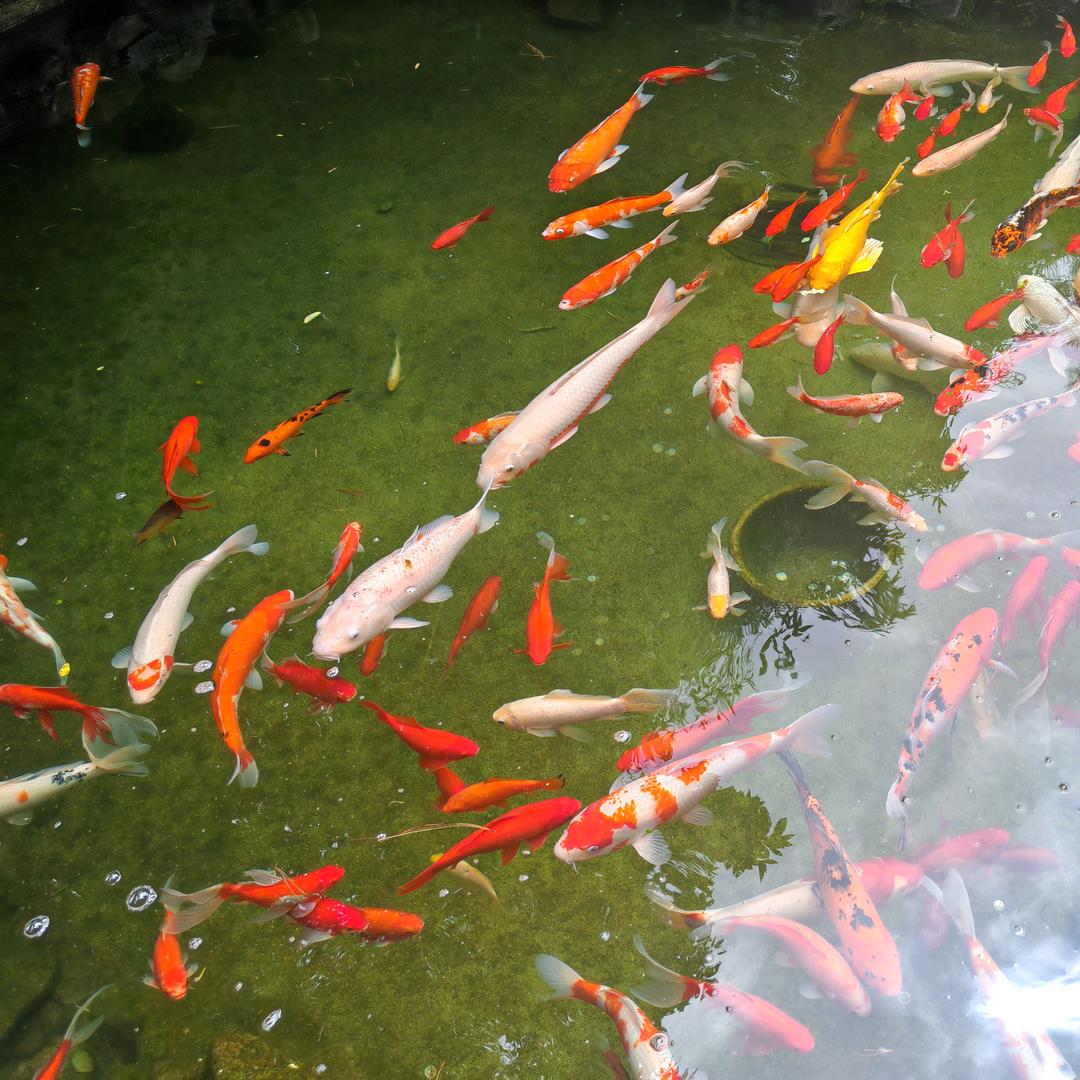 花间冲电站—幸福补给站