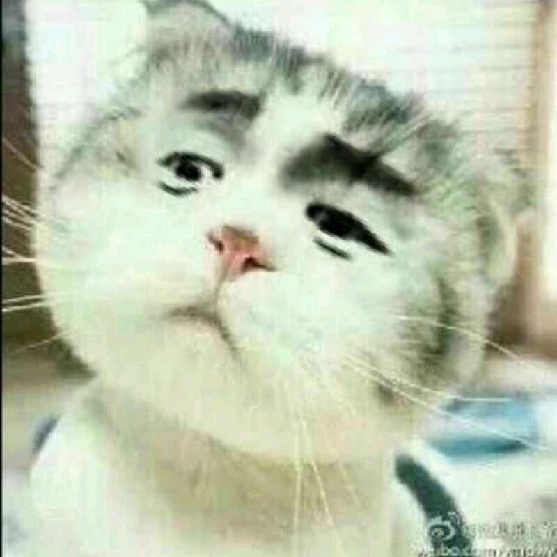 🌈吟游诗人蓝色